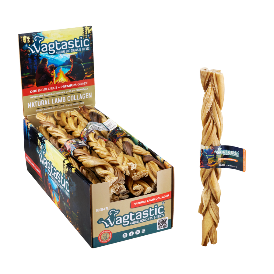 Natural lamb collagen 12 inch braided stick with display box
