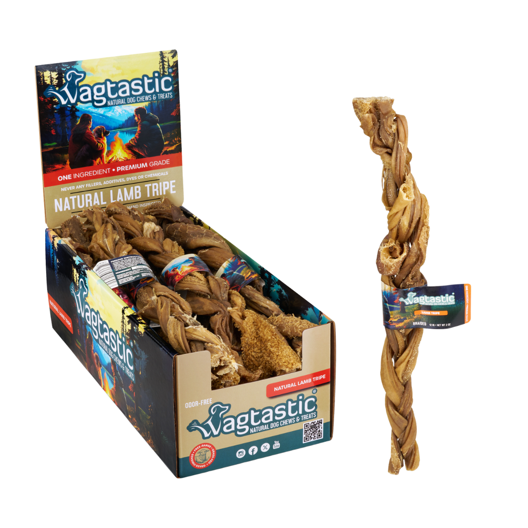 Natural lamb tripe 12 inch braided stick with display box