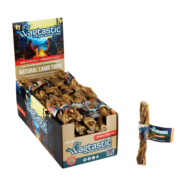 Natural lamb tripe 6 inch braided stick with display box